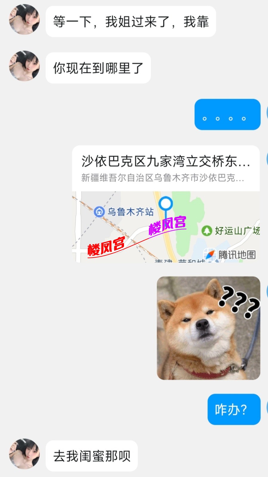 1000062255.jpg