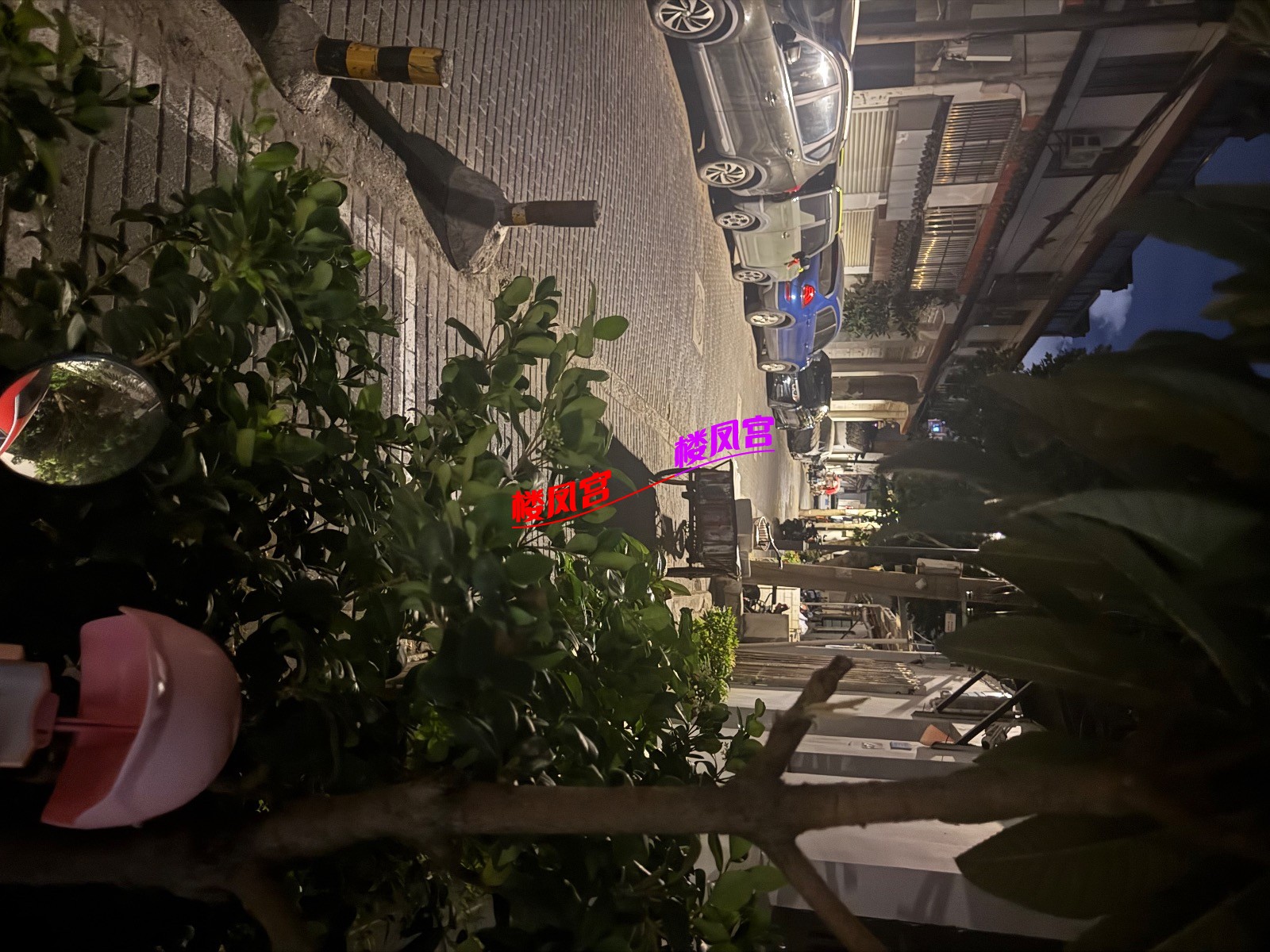 IMG_2624.jpeg
