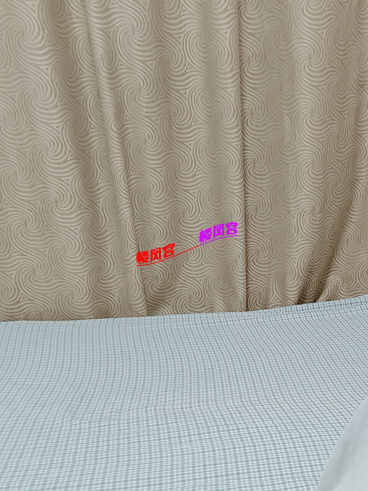 1000004979.jpg