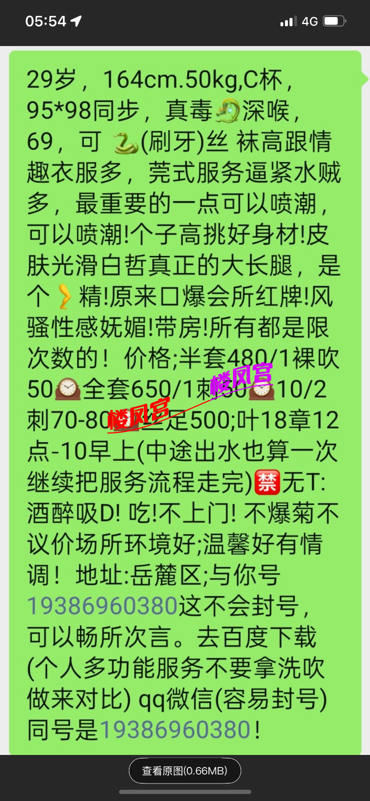IMG_3753.png