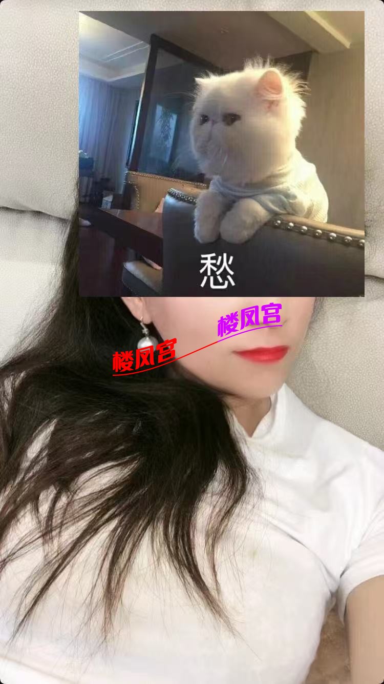 46db89e52c1bb63bb2f2855d1c433e8e.jpeg
